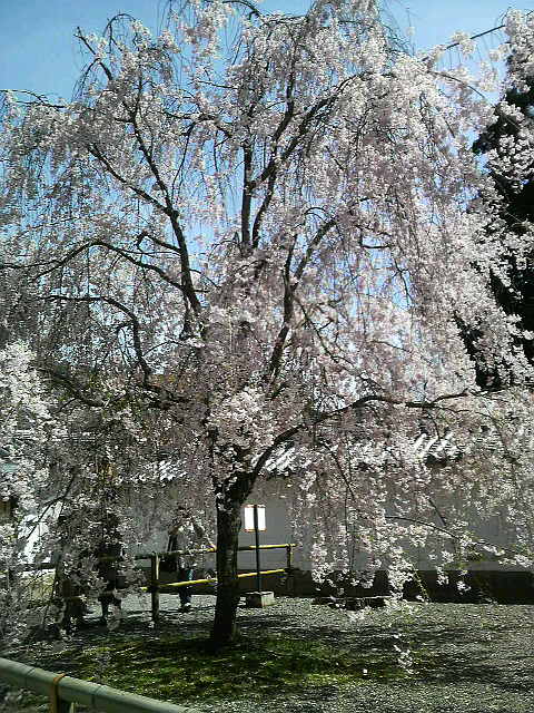 a0066377_21353784.jpg