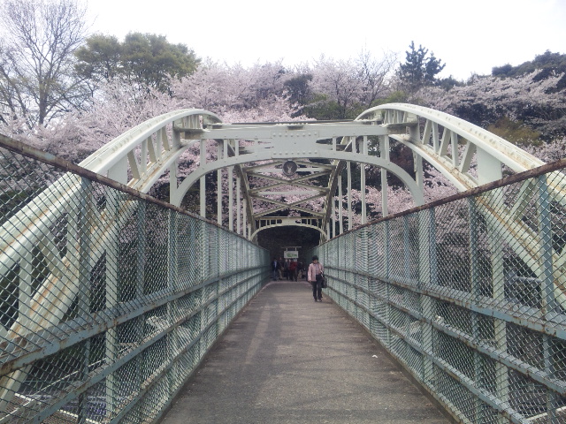 b0215577_244936.jpg