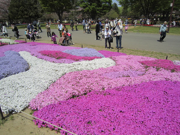 昭和記念公園の花・はな・ハナ_a0180279_2317632.jpg