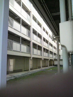 f0228680_1013864.jpg
