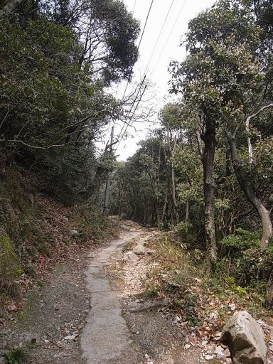 摩耶山と、東北地震報告会_d0085790_21494965.jpg