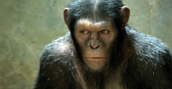 映画「Rise of the Planet of the Apes」監督インタビュー_e0109292_13272250.jpg