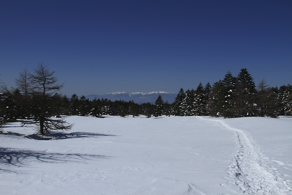 c0032494_23135358.jpg