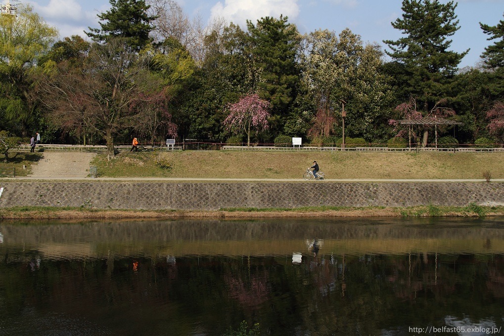 賀茂川・半木の道_f0095094_22221530.jpg