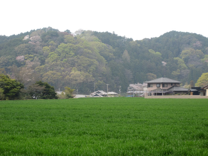 淡い風景_b0145296_715281.jpg