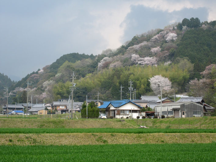 淡い風景_b0145296_72921.jpg