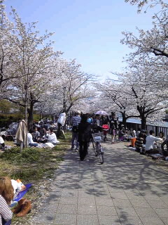 c0229500_16452064.jpg