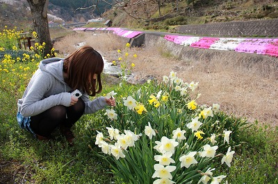 エルビレッジの桜♪_a0123003_1127239.jpg