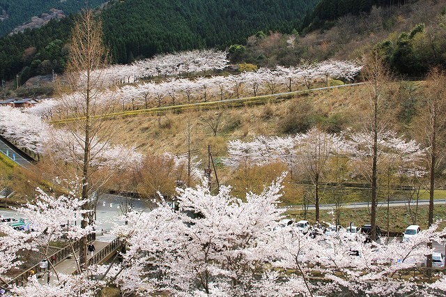 a0123003_11351822.jpg
