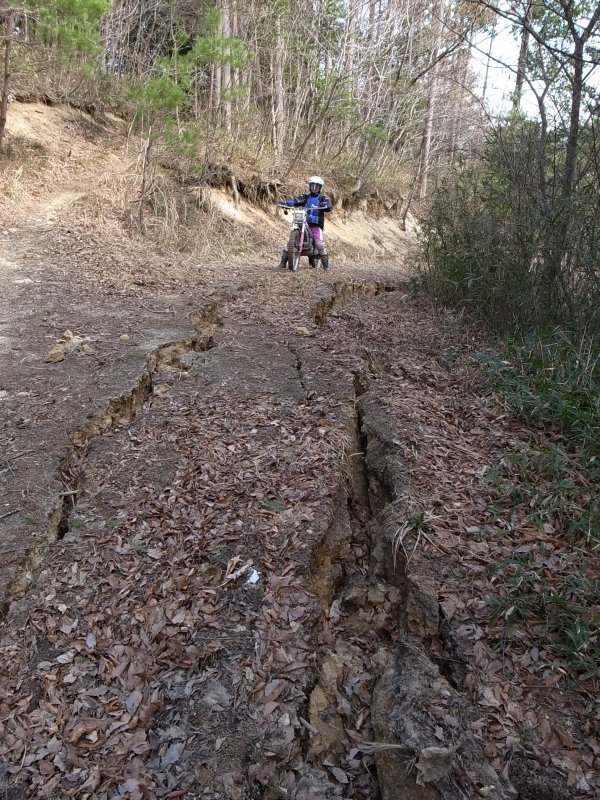 b0050305_20503350.jpg