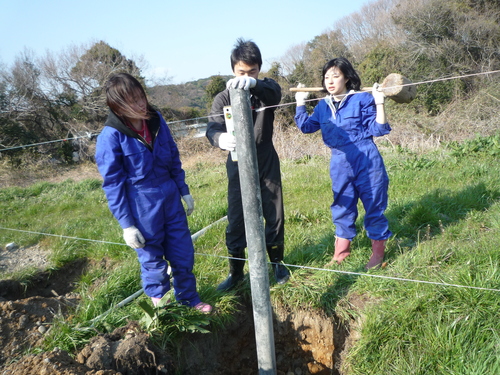デンマーク牧場キャンプ2011 報告♪_a0080406_061630.jpg