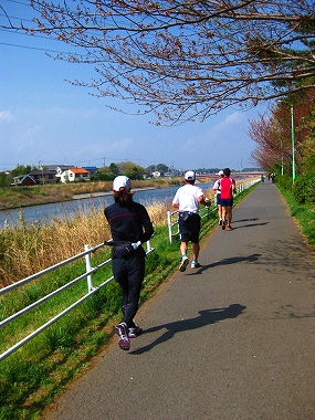 花見川ラン_a0036808_15323480.jpg