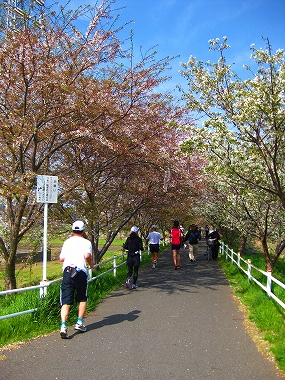 花見川ラン_a0036808_15325093.jpg