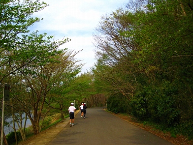花見川ラン_a0036808_15331547.jpg