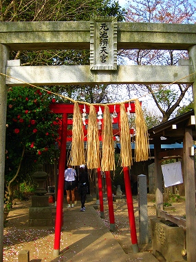 花見川ラン_a0036808_15402759.jpg