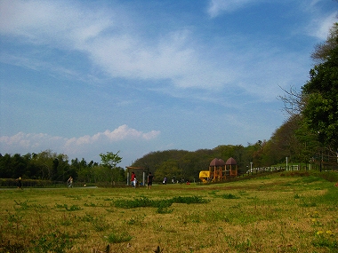 花見川ラン_a0036808_154038.jpg