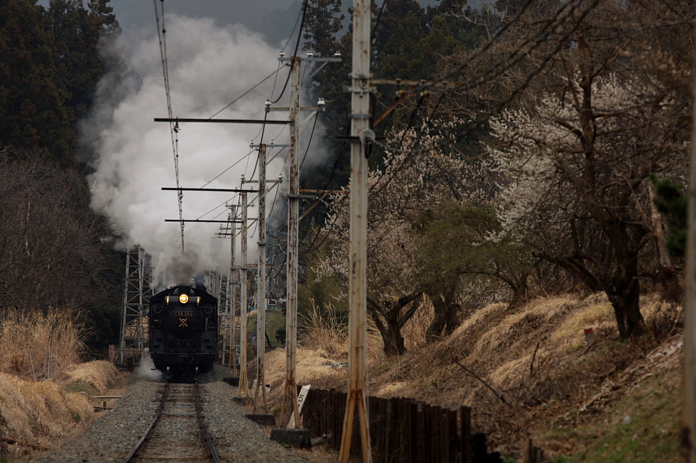 たまには煙の画を - 2011年春・秩父 -_b0190710_22454740.jpg