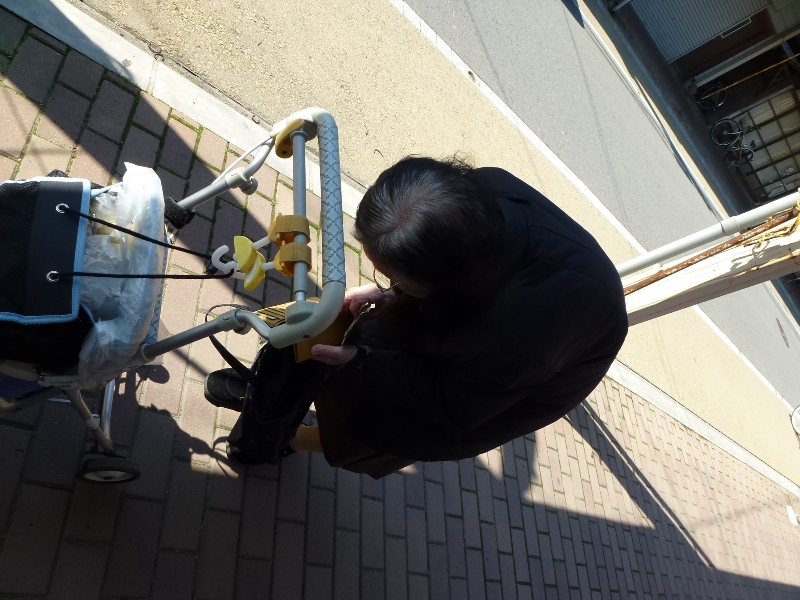 はるうらら・・・_d0039111_11504286.jpg