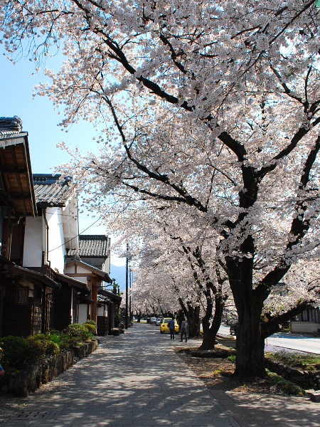 いつもの町も_c0177814_1139505.jpg