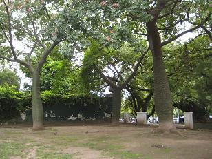 f0135018_3295165.jpg