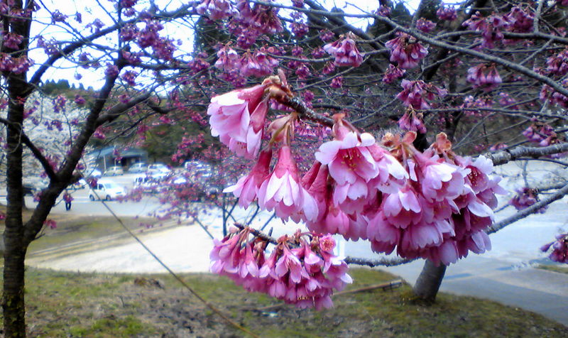 f0150918_20261418.jpg