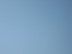 d0149223_1415155.jpg