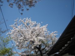 d0149223_195401.jpg