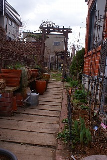 f0170524_1651354.jpg