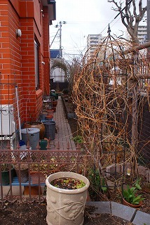 f0170524_1661260.jpg