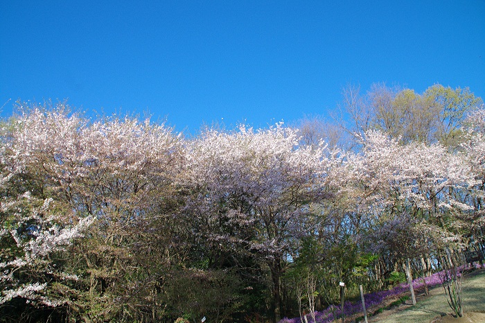 f0214527_9573377.jpg