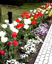 a0108328_16251172.jpg