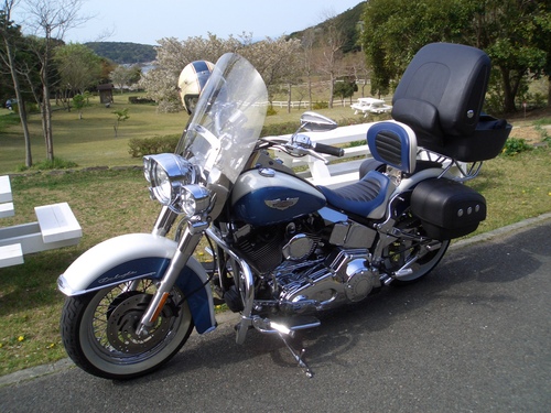 2011 チップツー_a0099129_1043833.jpg