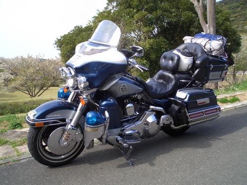 2011 チップツー_a0099129_1084531.jpg