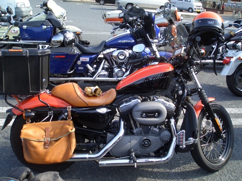 2011 チップツー_a0099129_1093132.jpg