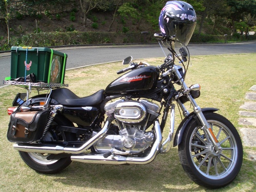 2011 チップツー_a0099129_9593580.jpg