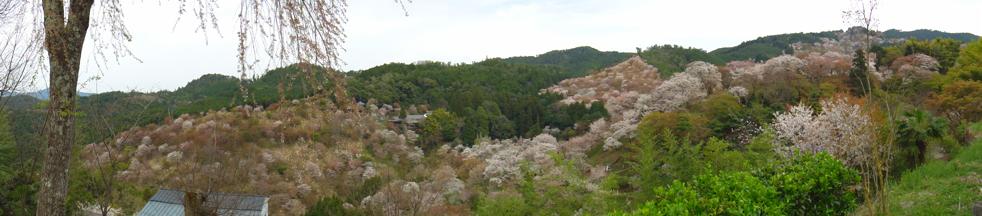 f0044029_2185278.jpg