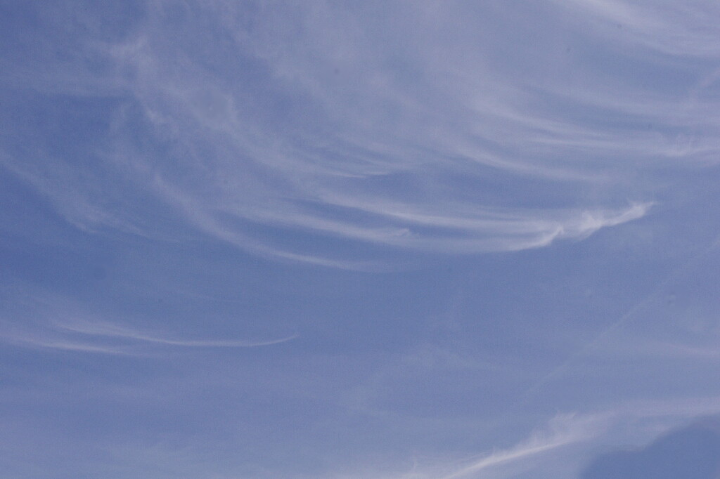 c0113733_013157.jpg