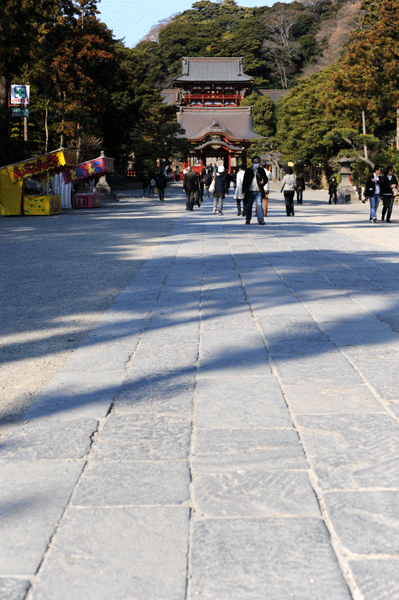 b0067346_034935.gif