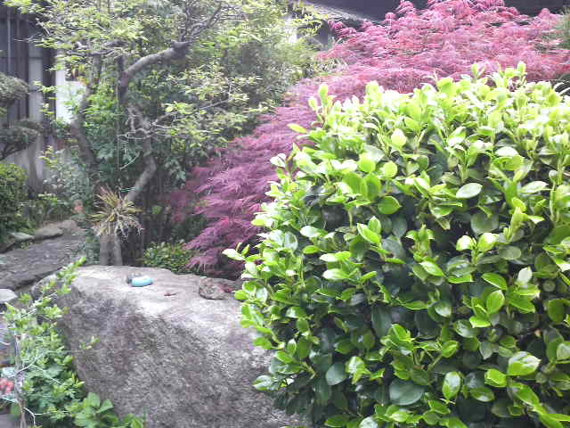 c0069247_11461214.jpg