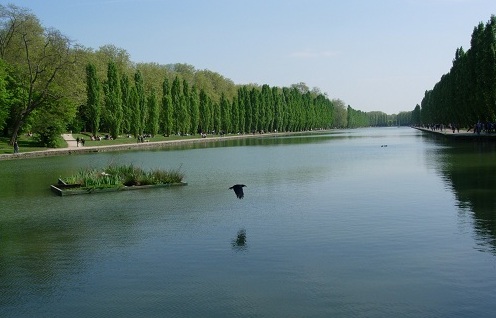 d0169247_6123741.jpg