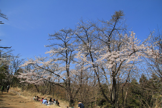 小仏城山（下見）_a0120949_622098.jpg