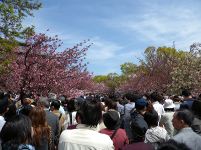 a0180549_19403789.jpg