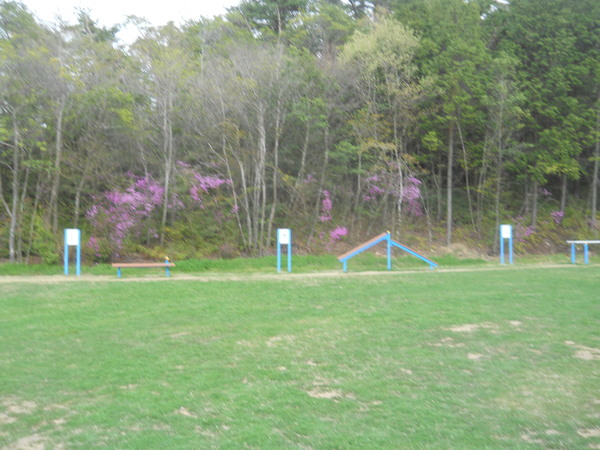 c0107149_6421298.jpg