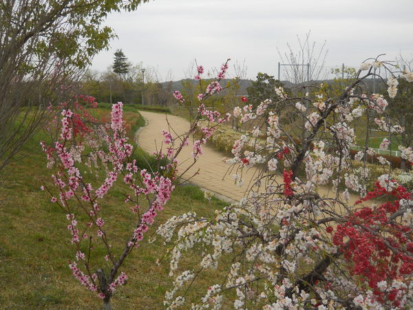 c0107149_65701.jpg