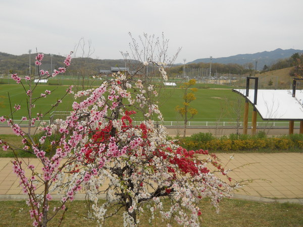 c0107149_657184.jpg