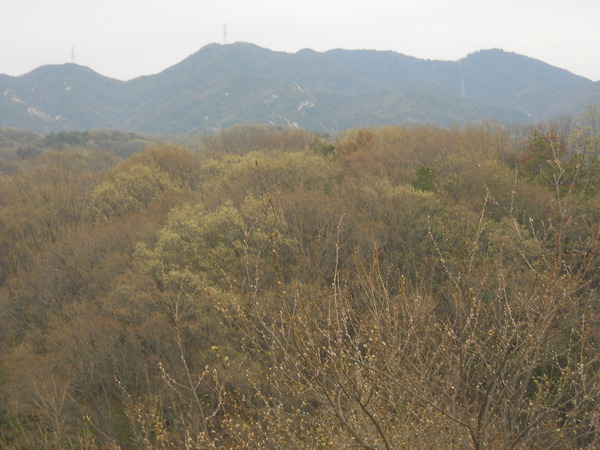 c0107149_723927.jpg