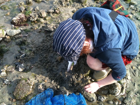 f0201157_12161567.jpg