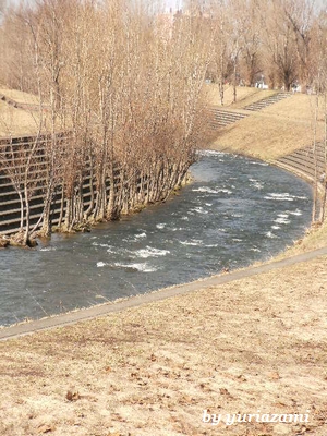 d0145759_22915.jpg