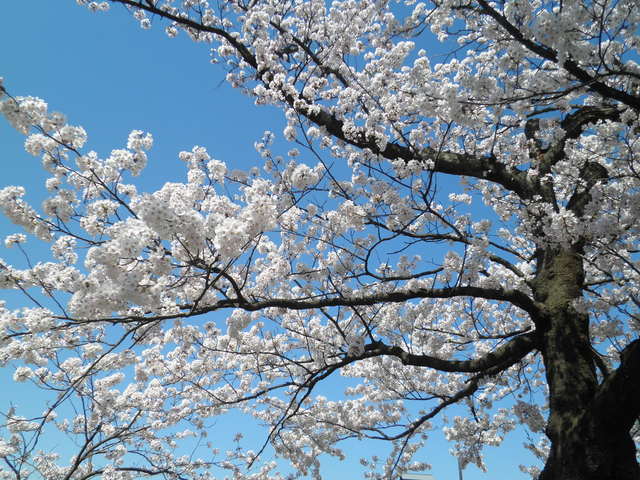 f0232160_13422070.jpg