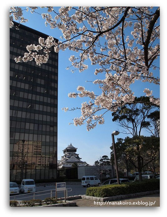 小倉城の桜・・・No6_e0153963_2311073.jpg
